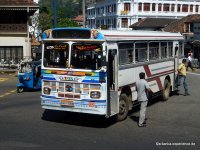 Bus of Sri Lanka - TATA