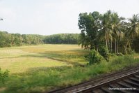 Colombo - Kandy by train