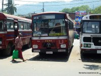 Bus of Sri Lanka - TATA