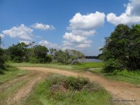 Wilpattu Landscape