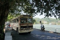 Bus of Sri Lanka - TATA