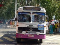 Bus of Sri Lanka - TATA