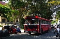 bus-of-Sri-Lanka-Lanka-Ashok-Leyland