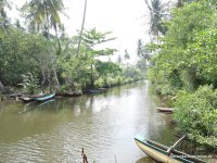 Bentota small river