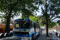 Bus of Sri Lanka - TATA