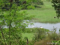 Wagamuwa National Park