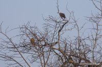 Wagamuwa National Park