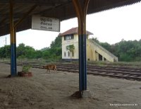 by train on Sri Lanka