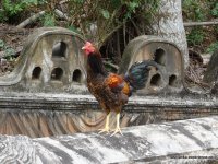 Beruwala - Kande Viharaya Temple