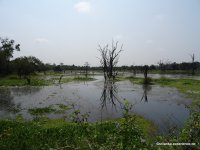 Wagamuwa National Park