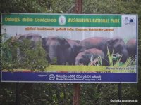 Wagamuwa National Park