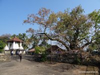 Gadaladeniya Temple