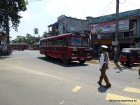 Bus of Sri Lanka - TATA